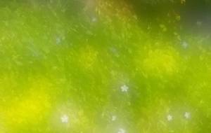 印象派的夏写真アート蜃気楼作品 - 真鍋哲地