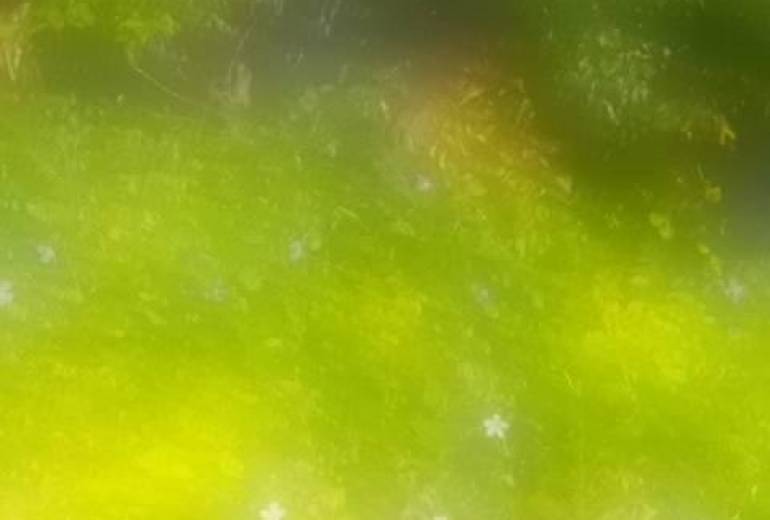 夏印象派的写真作品、テイク 2