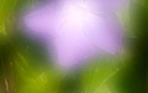 さようなら、バイバイまたね? - 真鍋哲地