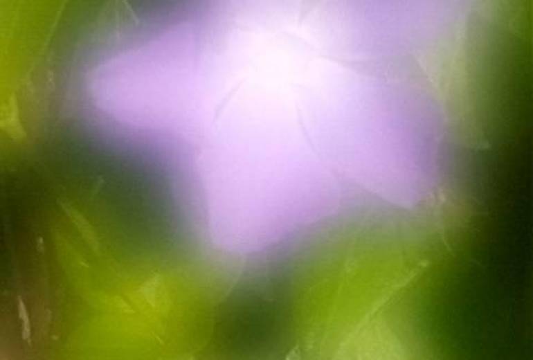 さようなら、バイバイまたね？どうせ又すぐ投稿ーーつだろね、根性ないから僕は