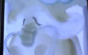 私の中の神様 - Tetra