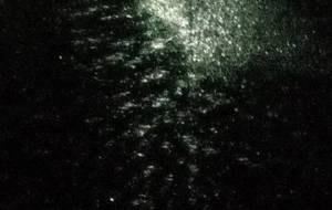 母さん今夜は雨降りです(母さんのが泣いてるみたい) - 真鍋哲地