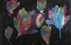 木蘭陶花 - 明紅葉 