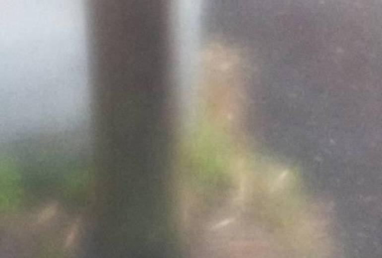 君は踏みつけられ、君は強い、そう君は