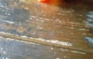 僕ときみ笑顔、信じてる、母の愛 - 真鍋哲地