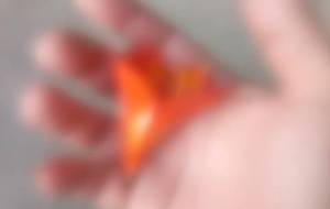 母さんの愛 - 真鍋哲地