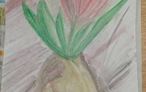 赤い生命 - KINOKI