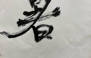 夏のようで春 - かめ2023~