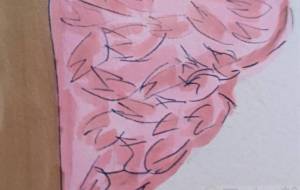 見たかった桜 - 水樹