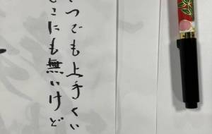 上手くいかない - かめ2023~