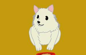 お座り、待て! (愛犬チロ) - ちろ