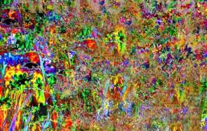 chaos color - 【イベント】可能性アートプロジェクト 2024