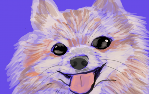 ポメラニアン - nao.k