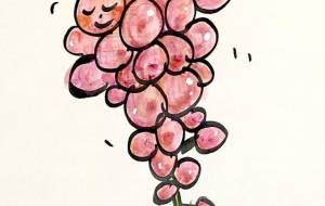 ブドウちゃん - 空叶論