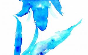 燕子花 - 98帝国