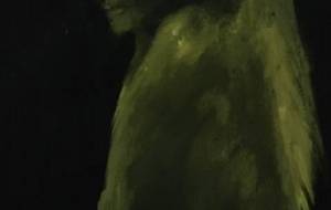 老人天使(貴方なら翔べる恐れないで) - 真鍋哲地