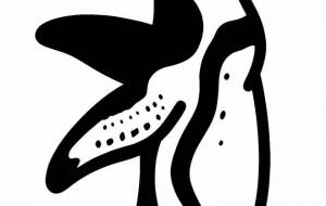 フンボルトペンギン - 【イベント】可能性アートプロジェクト 2024