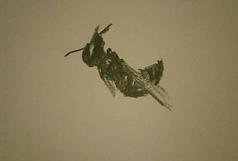 君の勇敢な墓碑、君は戦士（君を駆除した自分を僕は恥じた）