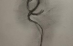 ロープ - 真鍋哲地