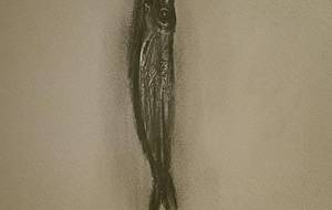 干物、母さんと僕のように、生きていたかたち - 真鍋哲地