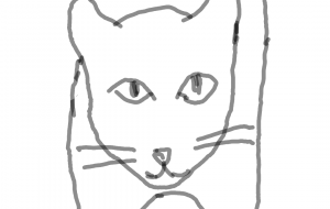 シロネコのタンゴ - ハヤシダ ヨウコ