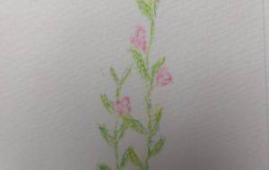 やさしい草花 - tampopo-chie