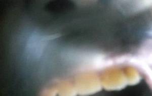 わーーーーーーーわつ - 真鍋哲地