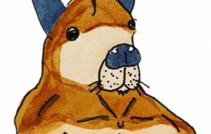 格闘カンガルーハッチ - ミチェル