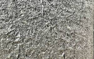 あなたにとって、中身は何色ですか - MIRI