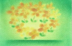 ハートの手オッタチカタバミ - naomi