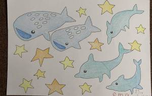 ジンベイザメとイルカの親子 - 恵麻