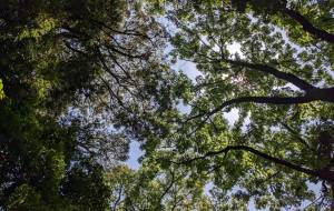 光のほうへ - 悠希コウ