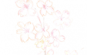 季節花：桜 - artshu1 