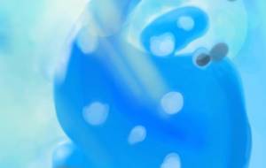 じんべえさん - Tetra