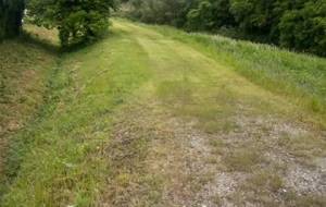 てつじのお散歩しりぃず 田舎道(都会の人たちの心を癒す作品投稿できたらなぁと思います) - 真鍋哲地