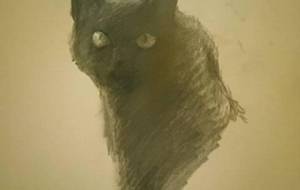 黒猫、思う君わ幸せ、そう多分 - 真鍋哲地