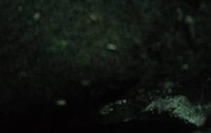 貧困家族貧困家族貧困家族、もう嫌だーーっ - 真鍋哲地