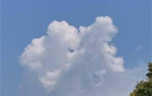 古里、夏 - 真鍋哲地