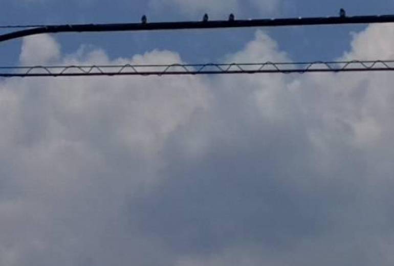 青空の下、僕達、ボクたちともだち（癒してくれてありがとう）