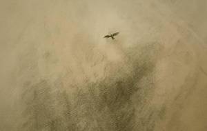 夏空、君なら(大丈夫お母さんところへ) - 真鍋哲地