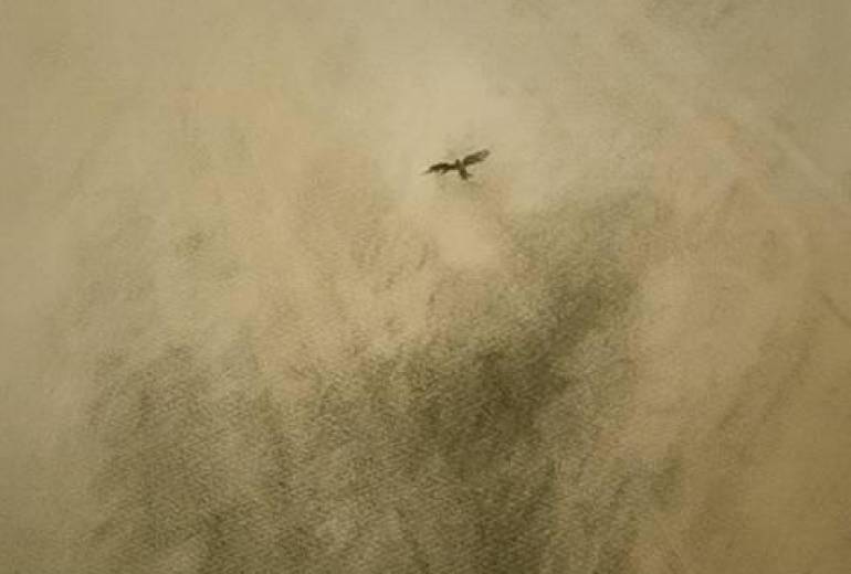 夏空、君なら（大丈夫お母さんのところへ）