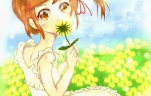 たんぽぽ畑 - ショウヘイ