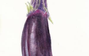 茄子 - 草地美波