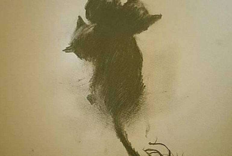 猫阿修羅花に、にぁにぁにぁー