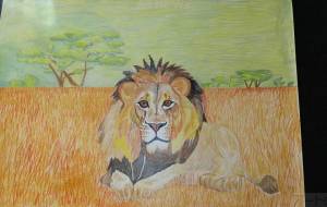 行きたいところ - 繭