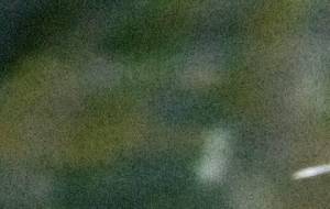 選択 - 真鍋哲地