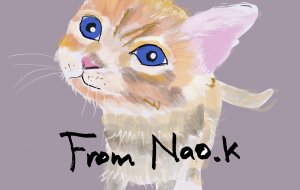青い目の猫ちゃん - nao.k