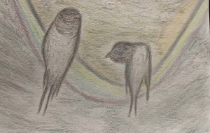 ツバメの世界 - NEKU