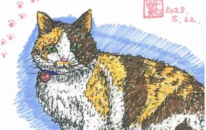 猫 ペン画 1 - 阿部貴志 