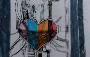 心臓 - ハシビロコウ